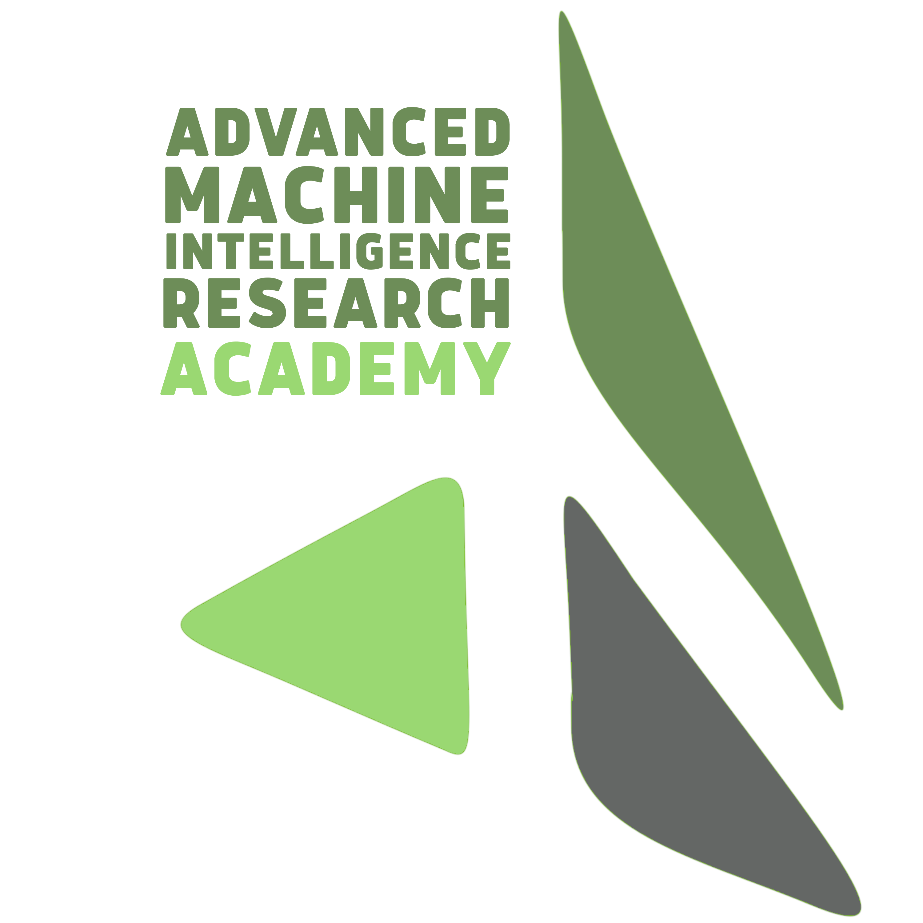 AMIR Academy
